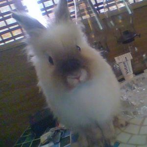 Meet your Posher, Danielle